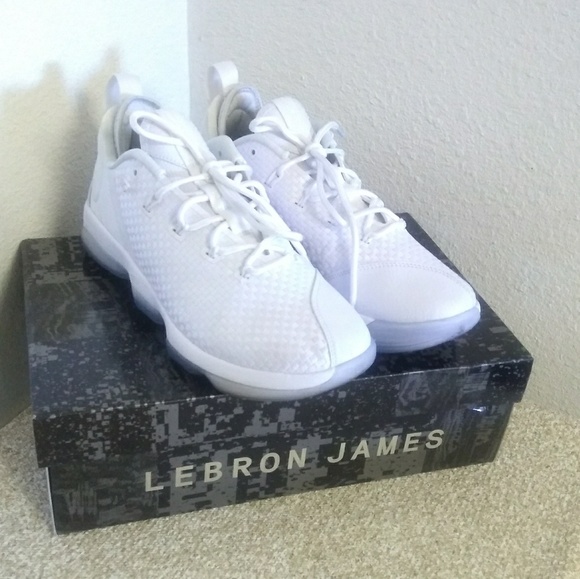 lebron xiv white